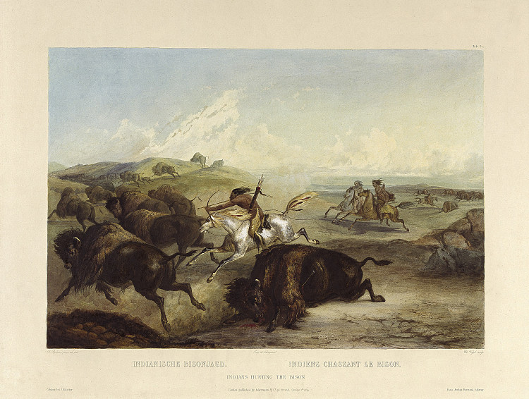 印第安人猎杀野牛，图版 31 来自“北美内陆游记”第 2 卷 Indians hunting the bison, plate 31 from Volume 2 of 'Travels in the Interior of North America' (1834; United States  )，卡尔博德默