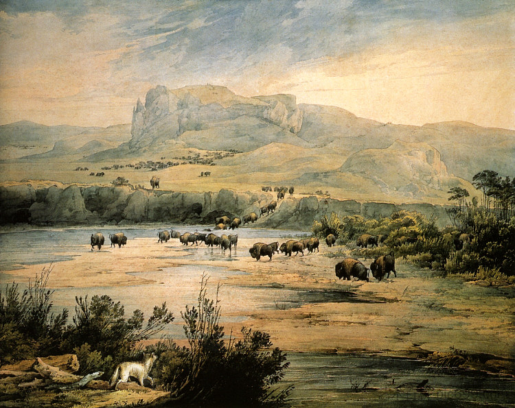 密苏里州上游的水牛景观 Landscape with buffalo on the upper Missouri (1833; United States  )，卡尔博德默