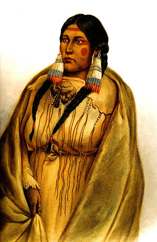 克里部落的女人 Woman of The Cree Tribe (1832; United States                     )，卡尔博德默