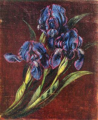 虹膜 Irises (c.1950)，卡特尼亚比洛克