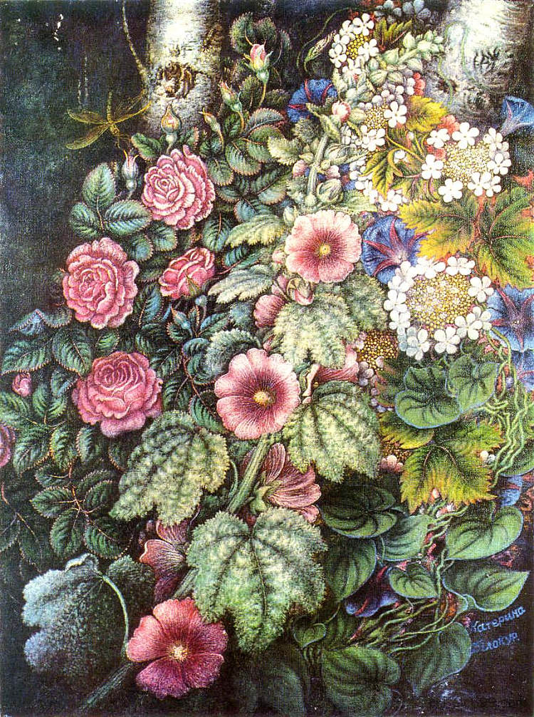 锦葵和玫瑰 Mallows and roses (1954 - 1958),卡特尼亚比洛克