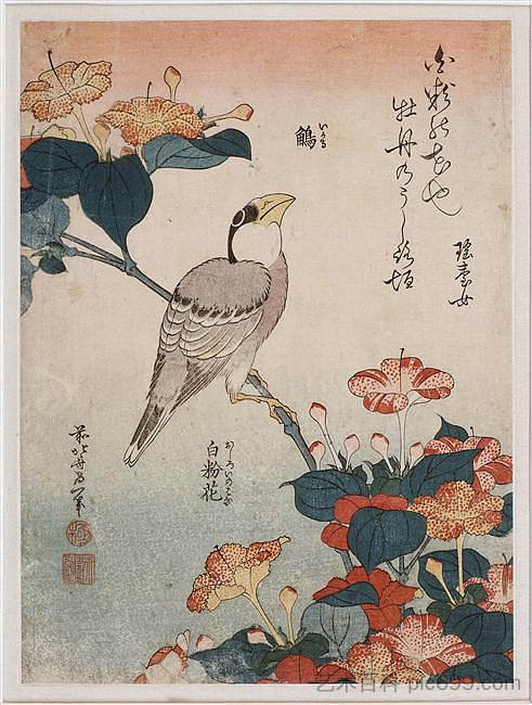 格罗斯比克和奇异 Grosbeak and mirabilis (1834)，葛饰北斋