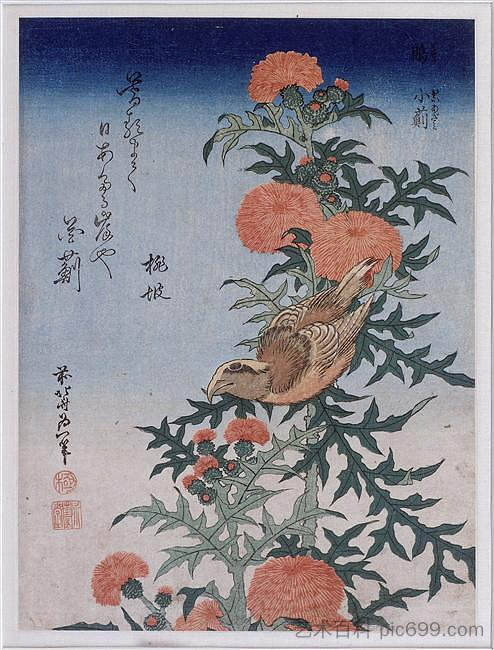 弩嘴和蓟 Crossbill and Thistle (1834)，葛饰北斋