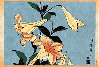 莉莉 Lilly，葛饰北斋