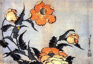 罂粟 Poppies，葛饰北斋