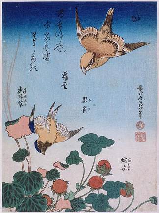 燕子海棠草莓派 Swallow and begonia and strawberry pie (1834)，葛饰北斋