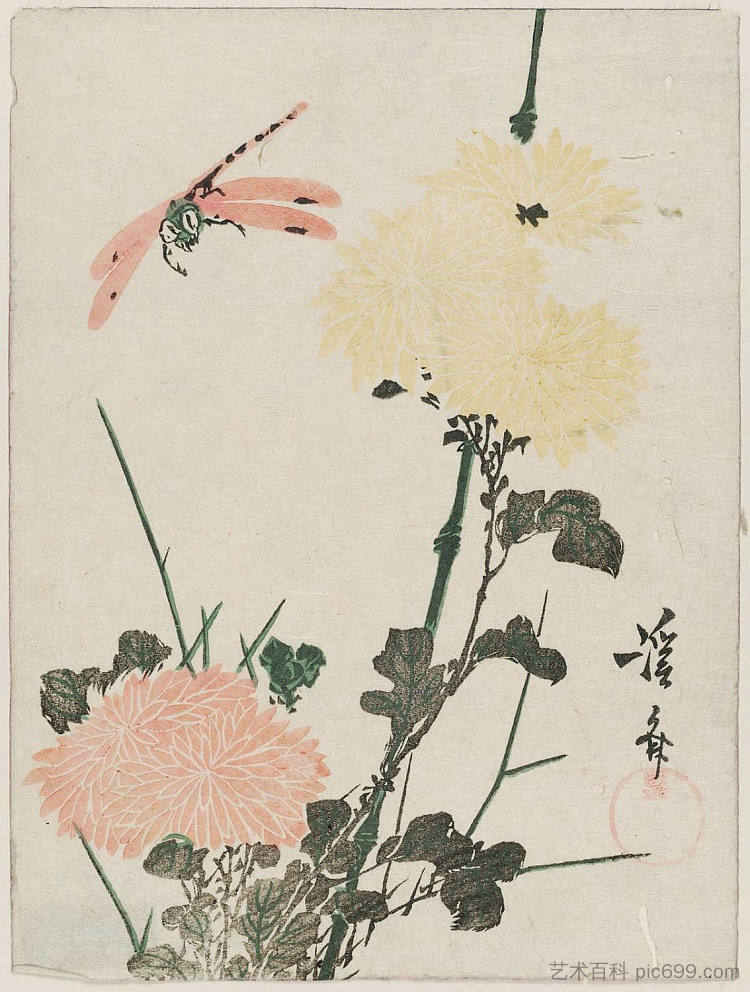 菊花和蜻蜓 Chrysanthemums and Dragonfly，溪斋英泉