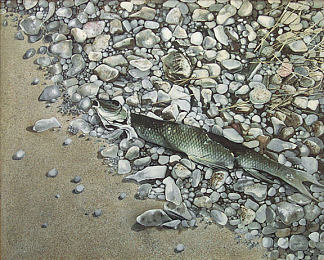 鱼和岩石 Fish and Rocks (1963)，根·丹比