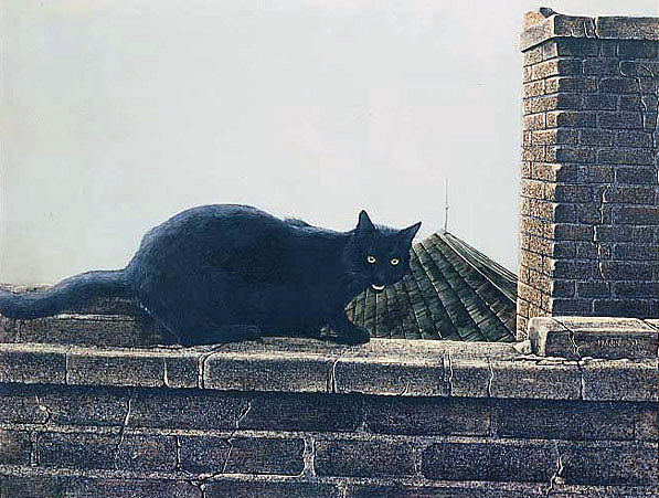 毛皮和砖块 Fur and Bricks (1963)，根·丹比