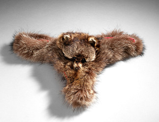 浣熊 Raccoon Jockstrap (2007)，肯特·蒙克曼