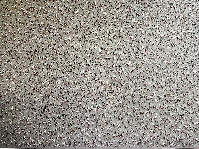 无题 Untitled (1976)，金昌烈