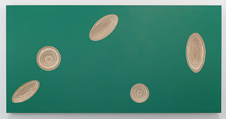 埋葬外观 Buried Appearence (2007)，菅木志雄
