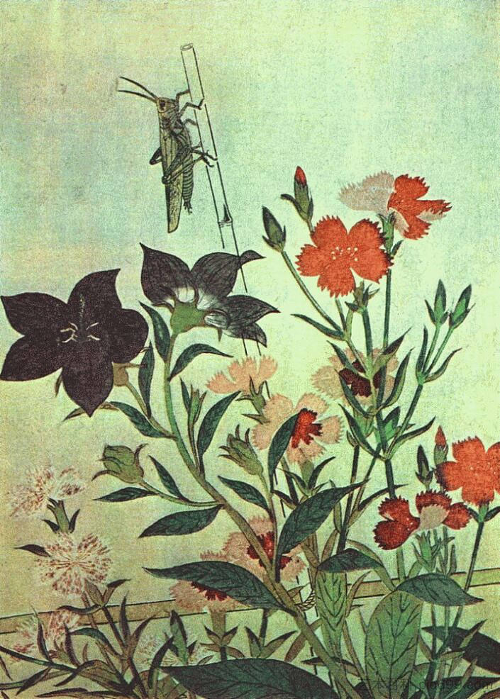 稻蝗 红蜻蜓粉红 中国铃铛花 Rice Locust Red Dragonfly Pinks Chinese Bell Flowers (1788)，喜多川歌麿