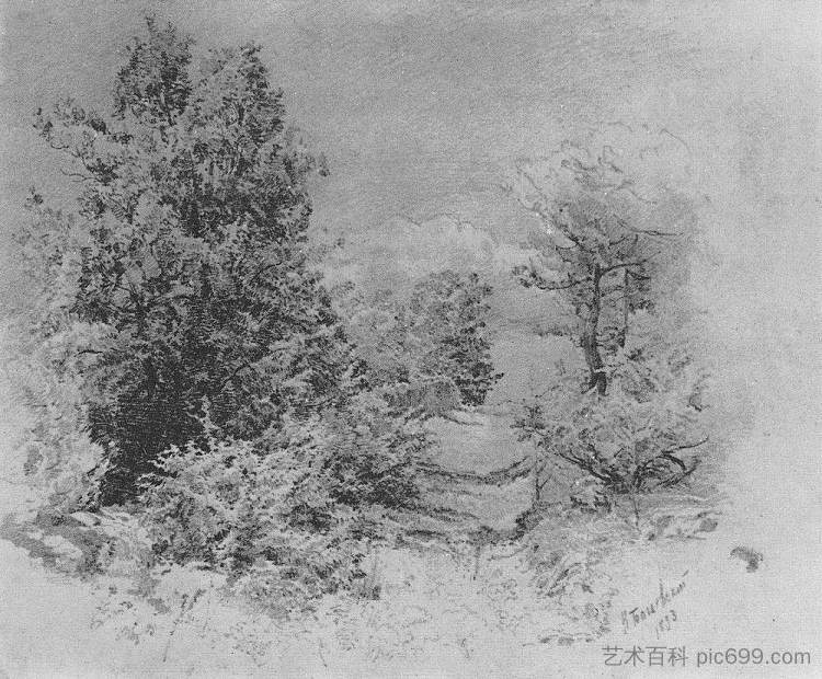 树 Trees (1893)，康斯坦丁·博加耶夫斯基