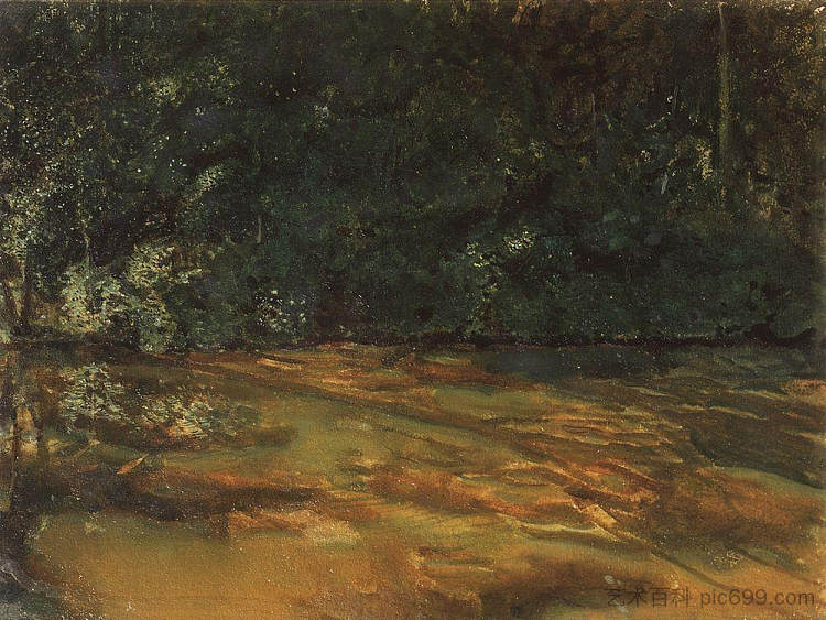 杂草丛生的池塘 Overgrown Pond (1899)，康斯坦丁·索莫夫