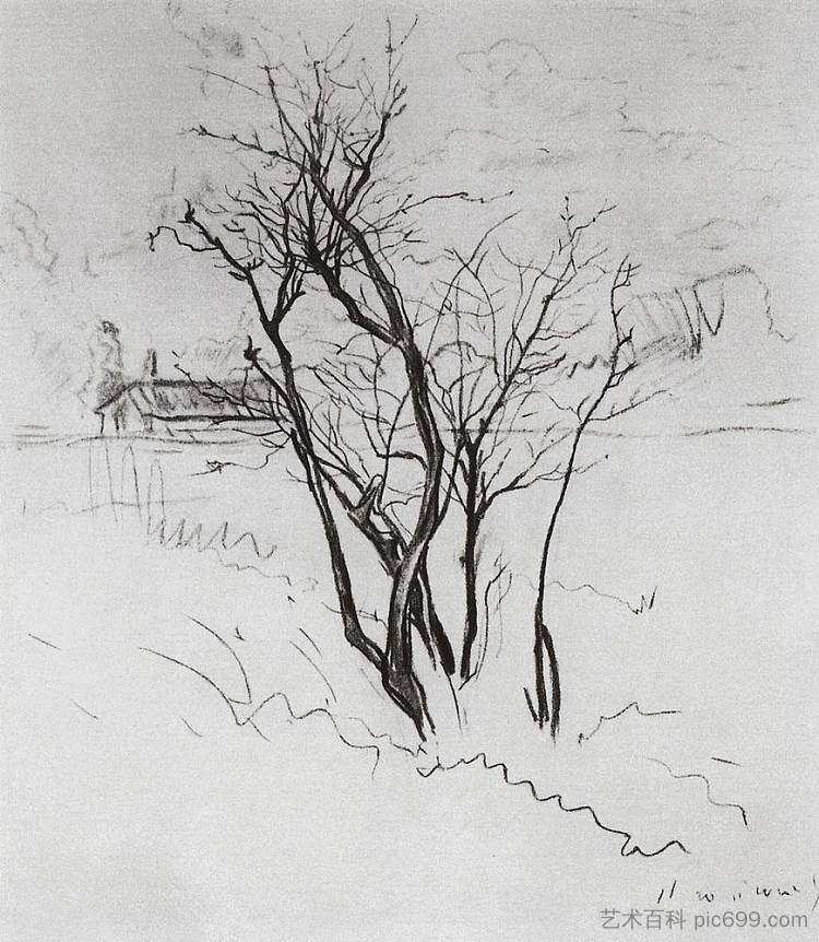 田野里的树 The Tree in the Field (1897)，康斯坦丁·索莫夫