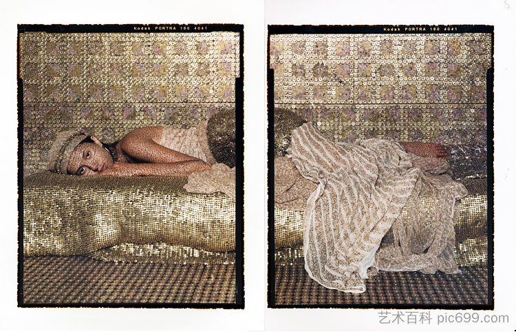 子弹重温 #31 双联画 Bullet Revisited #31 Diptych (2012 - 2013)，拉拉·埃萨迪