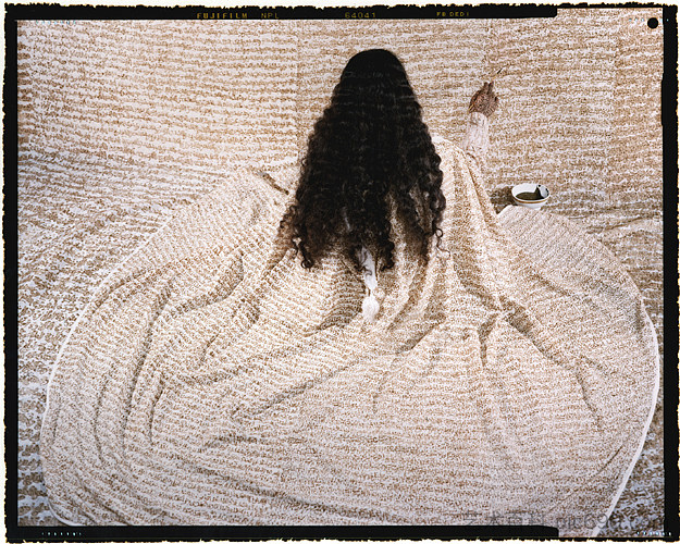 融合领土 #10 Converging Territories #10 (2004),拉拉·埃萨迪
