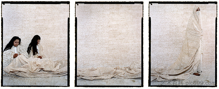 融合领土 #22 Converging Territories #22 (2004),拉拉·埃萨迪