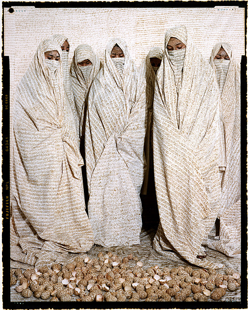 融合领土 #28 Converging Territories #28 (2004),拉拉·埃萨迪