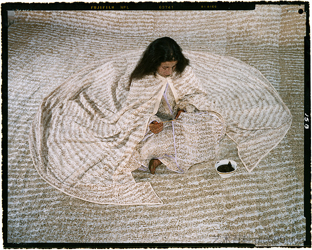融合领土 #9 Converging Territories #9 (2004),拉拉·埃萨迪
