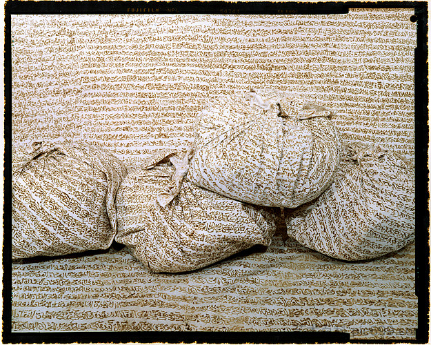 融合地区服装 #2 Converging Territories Apparel #2 (2004),拉拉·埃萨迪