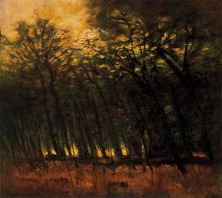 森林里的火灾 Fires in the Forest (1910)，拉斯洛·梅德雅恩斯基