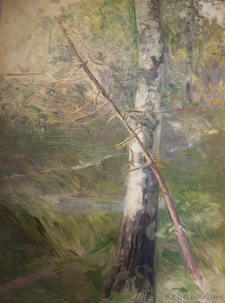 戈希切拉兹的桦木 Birch in Gościeradz (c.1930)，莱昂·维乔科夫斯基