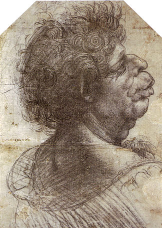 怪诞的头 A Grotesque Head (c.1502; Italy                     )，达芬奇