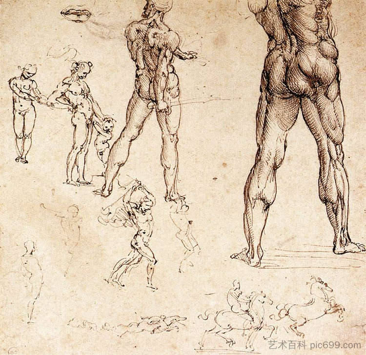 解剖学研究 Anatomical studies (c.1505; Florence,Italy ),达芬奇