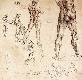 解剖学研究 Anatomical studies (c.1505; Florence,Italy                     )，达芬奇