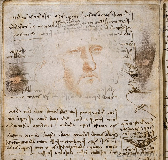 鸟类飞行手抄本上的自画像 Self portrait on the Flight of Birds Codex (c.1485; Italy ),达芬奇