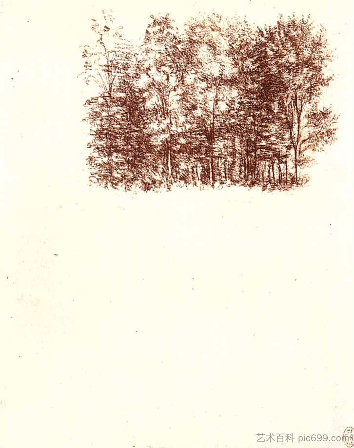 桦树丛 Birch copse (c.1500; Italy ),达芬奇