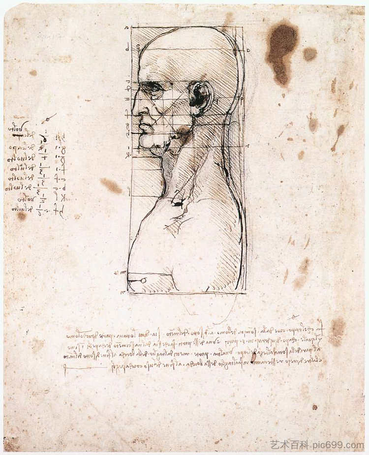 一个男人的半身像在轮廓与测量和笔记 Bust of a man in profile with measurements and notes (c.1490; Milan,Italy  )，达芬奇