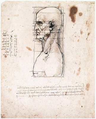 一个男人的半身像在轮廓与测量和笔记 Bust of a man in profile with measurements and notes (c.1490; Milan,Italy                     )，达芬奇