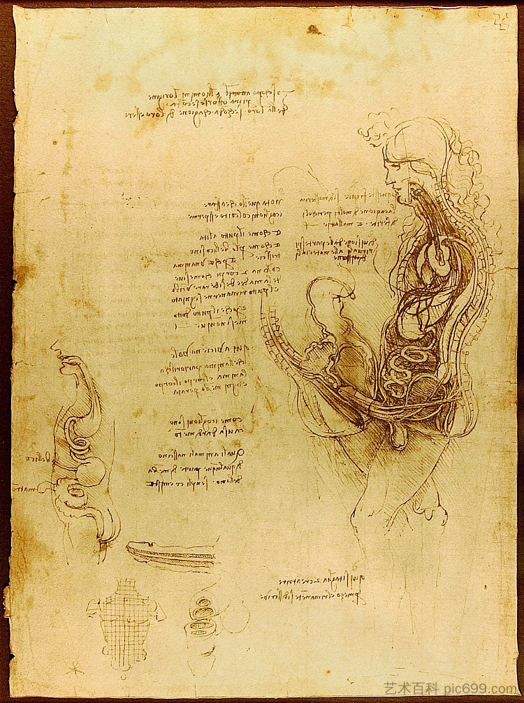 一个半身男人和女人的交融 Coition of a Hemisected Man and Woman (c.1492; Milan,Italy  )，达芬奇