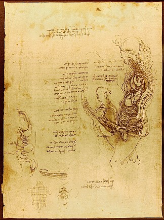 一个半身男人和女人的交融 Coition of a Hemisected Man and Woman (c.1492; Milan,Italy                     )，达芬奇