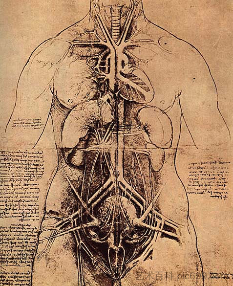 绘制女性躯干 Drawing of a Woman's Torso (c.1507; Italy ),达芬奇