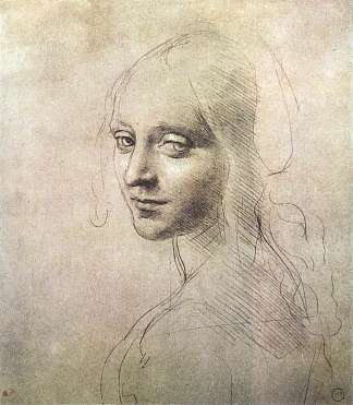 一个女孩的头 Head of a girl (c.1483; Milan,Italy                     )，达芬奇