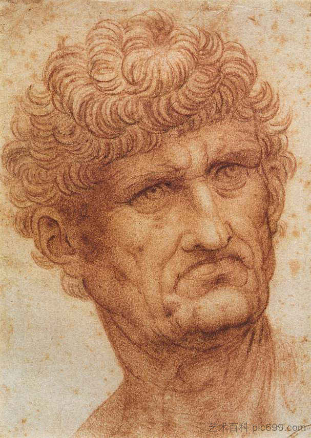 一个人的头 Head of a Man (c.1503; Florence,Italy ),达芬奇