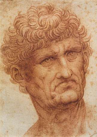 一个人的头 Head of a Man (c.1503; Florence,Italy                     )，达芬奇