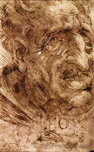 一个老人的头 Head of an Old Man (c.1488; Milan,Italy  )，达芬奇