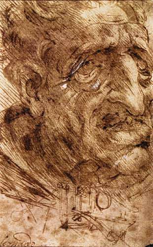 一个老人的头 Head of an Old Man (c.1488; Milan,Italy                     )，达芬奇