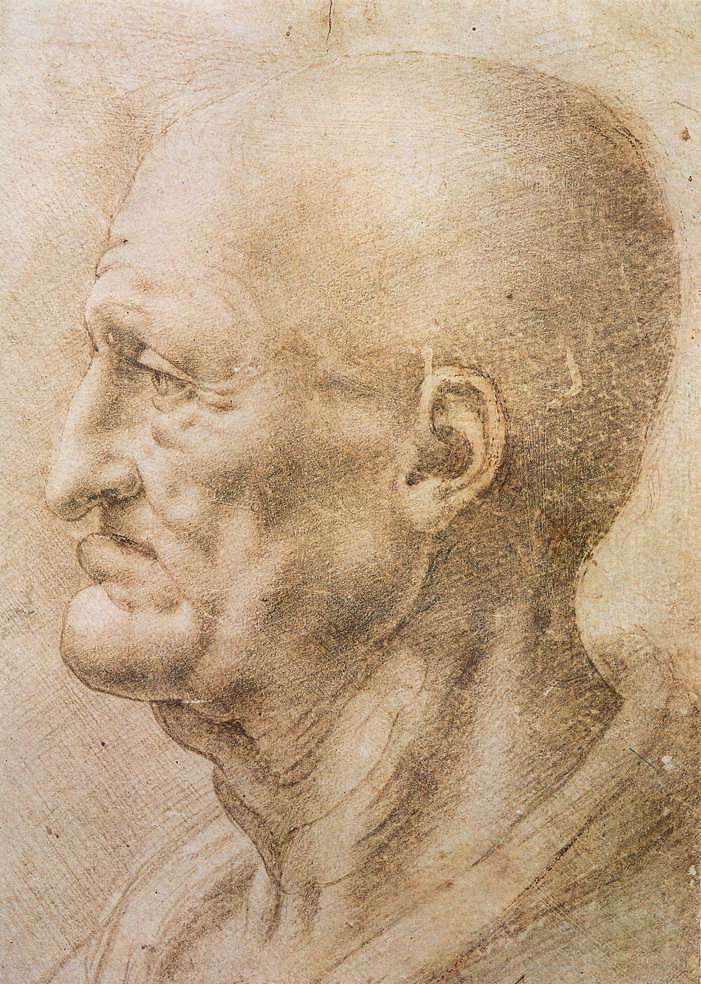 一位老人的简介 Profile of an old man (c.1505; Florence,Italy  )，达芬奇