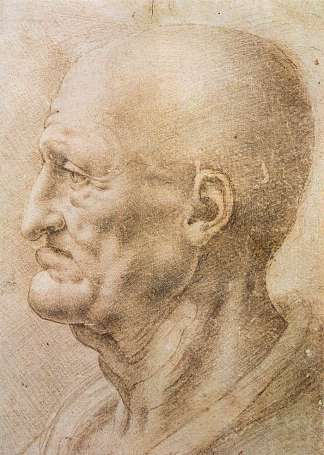 一位老人的简介 Profile of an old man (c.1505; Florence,Italy                     )，达芬奇