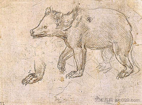 熊行走研究 Study of a Bear Walking (c.1484; Milan,Italy  )，达芬奇