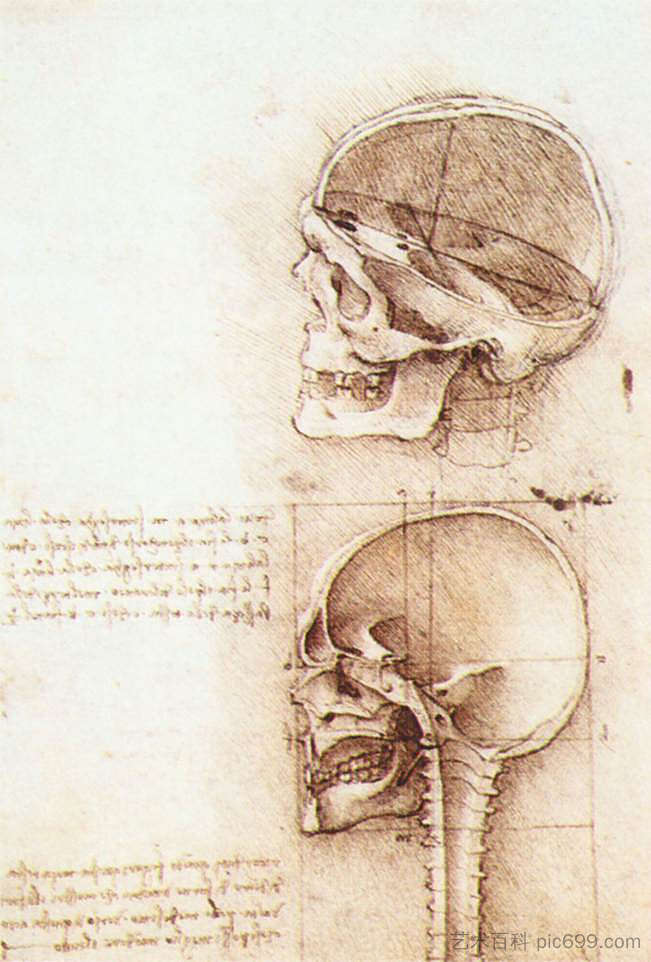 人类头骨研究 Studies of human skull (1489; Milan,Italy  )，达芬奇