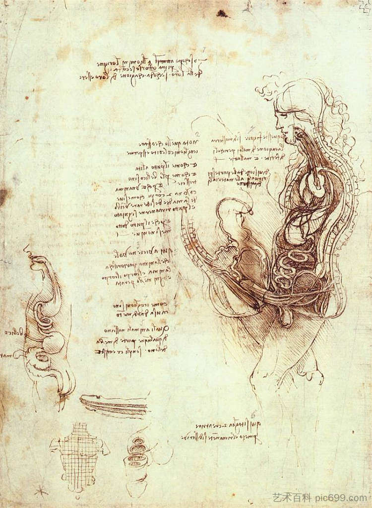 性行为和男性性器官的研究 Studies of the sexual act and male sexual organ (c.1492; Milan,Italy  )，达芬奇