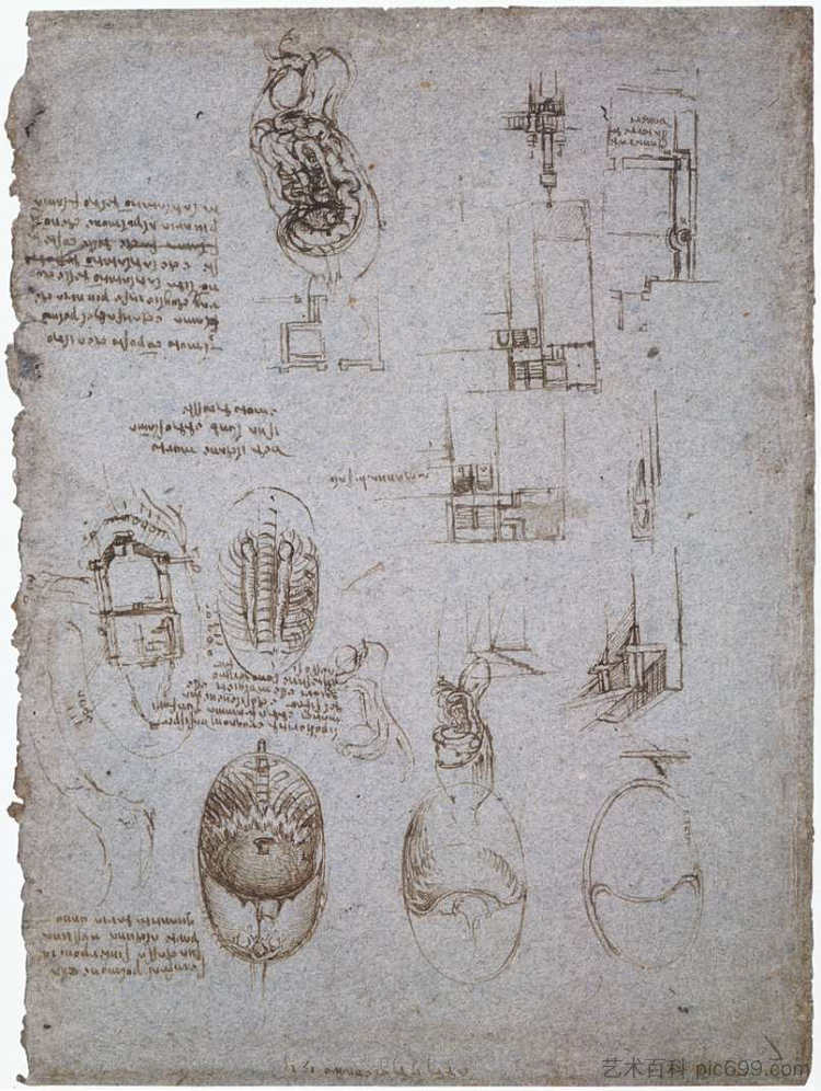 梅尔齐别墅的研究和解剖学研究 Studies of the Villa Melzi and anatomical study (1513; Rome,Italy ),达芬奇