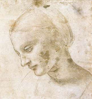 研究一个女人的头 Study of a woman’s head (c.1490; Milan,Italy                     )，达芬奇